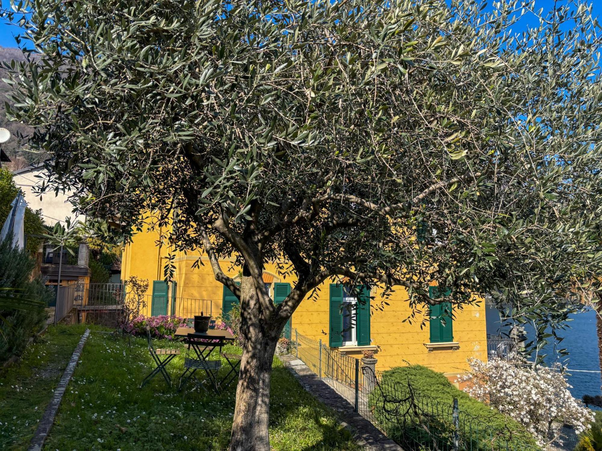 Villa Peroni Argegno - View House Dış mekan fotoğraf